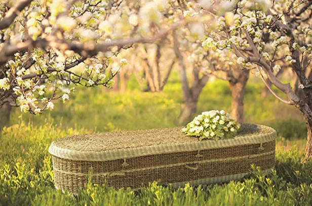 eco coffin