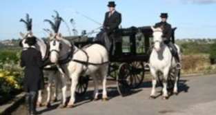 horse_drawn_ carriage